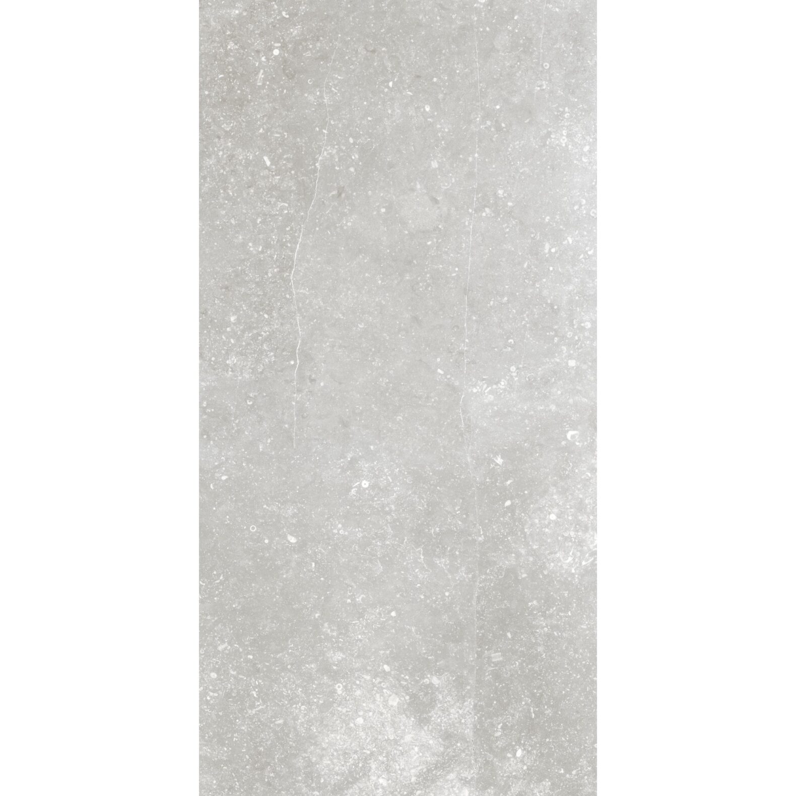 Marmi Genesi 120x60 Silver