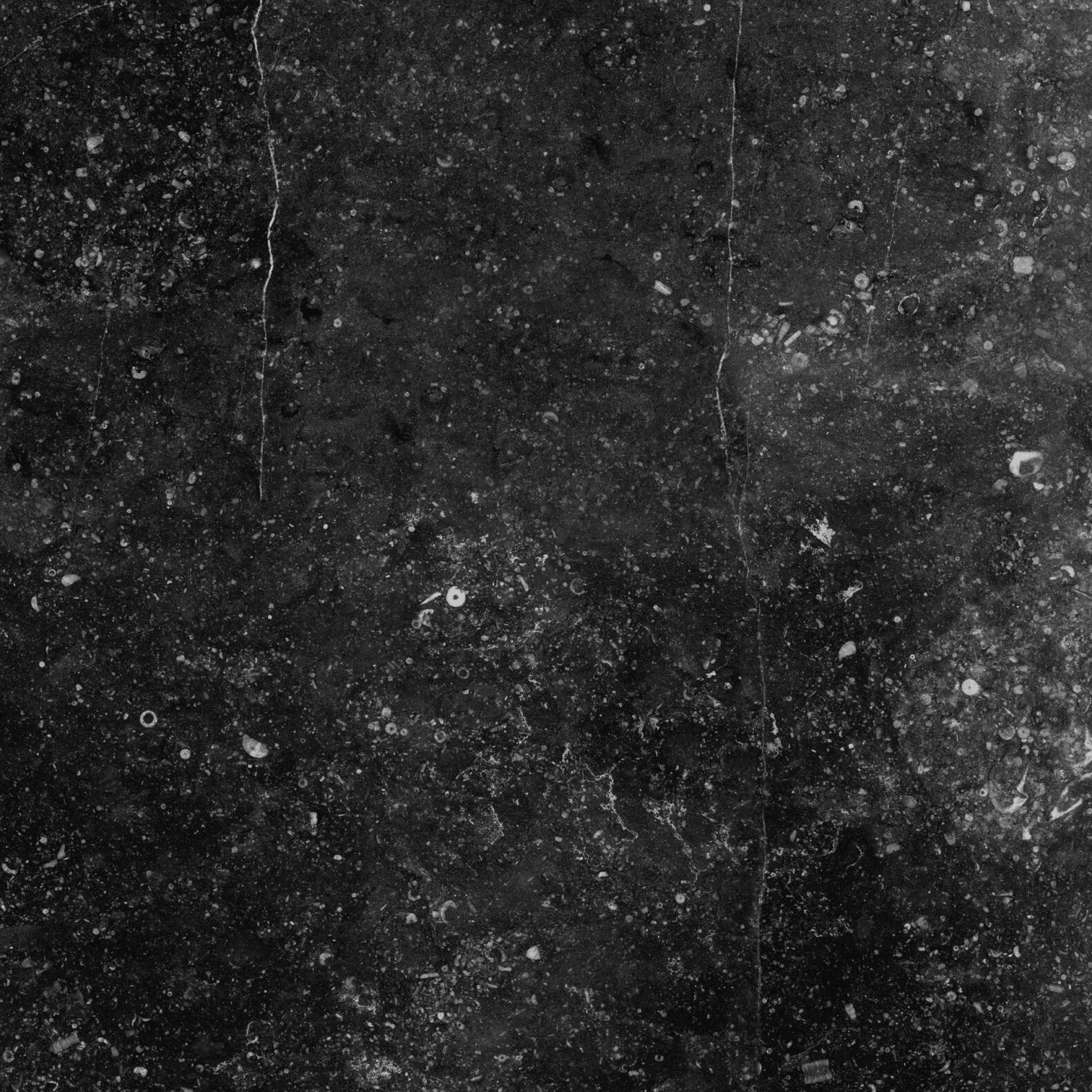 Marmi Genesi 60x60 Antracite