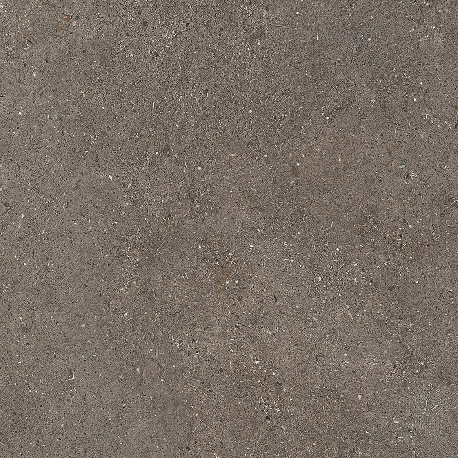 Stella Polare 120x120 Spazio