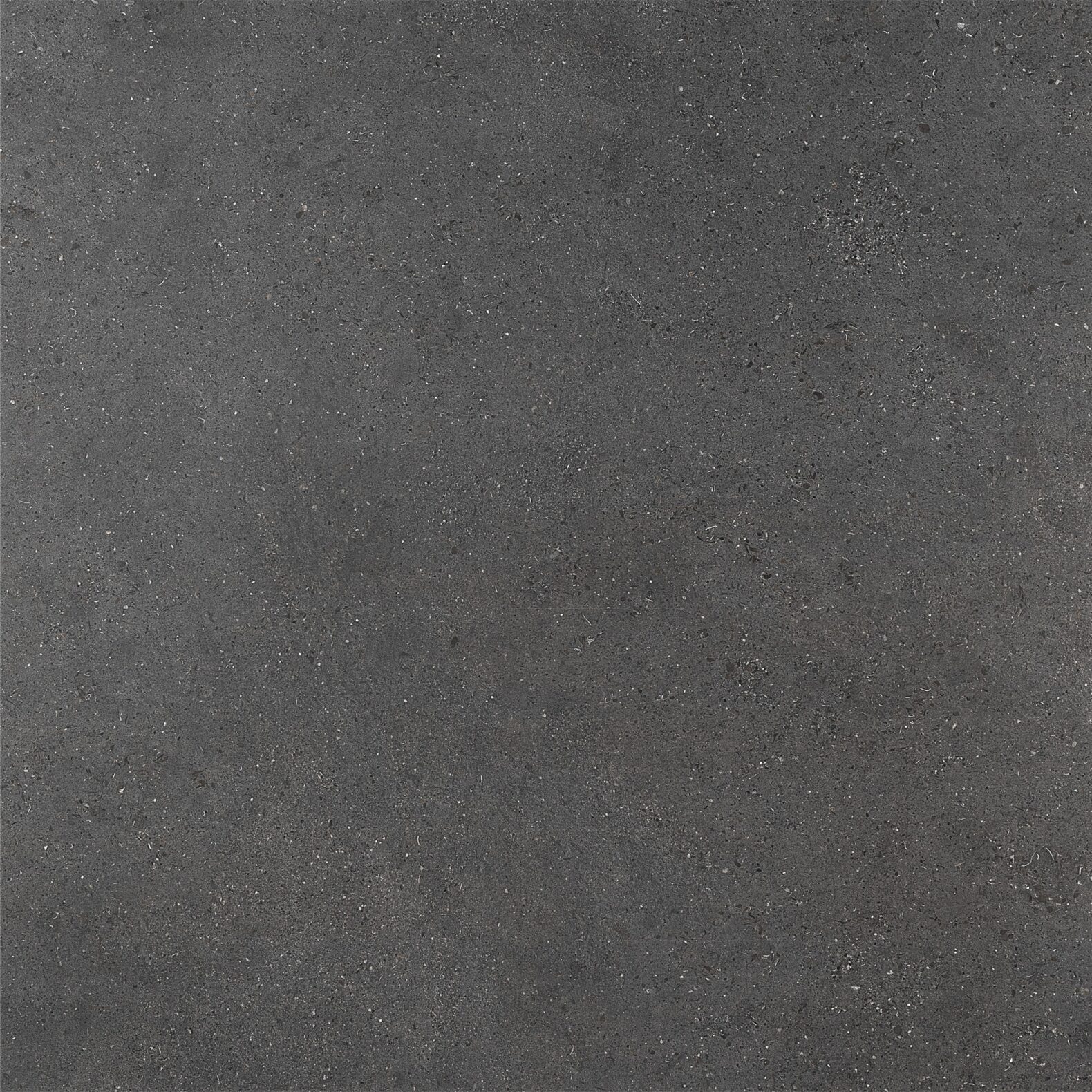 Stella Polare 120x120 Thunder