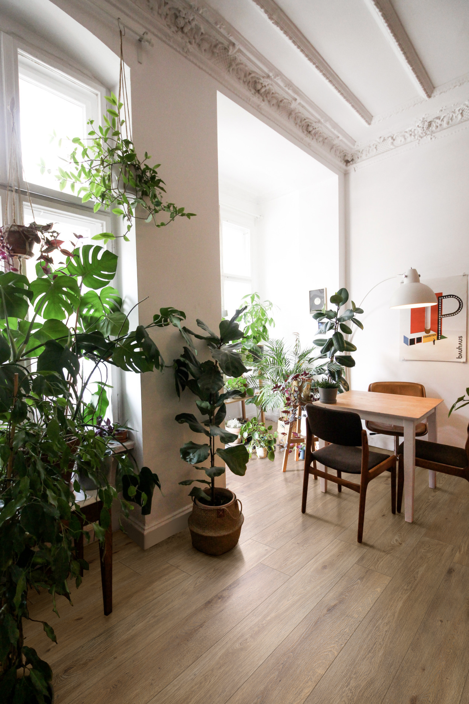 Legno Indi  Nocciola RT 25x150 Cm